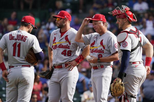 Andrew Knizner on his role with St. Louis Cardinals: nothing