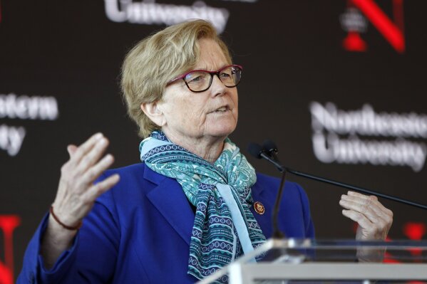 FILE - In this Jan. 27, 2020, file photo, Rep. Chellie Pingree, D-Maine, speaks a news conference in Portland, Maine. At least 4,800 chicks shipped to Maine farmers through the U.S. Postal Service have arrived dead in the recent weeks since rapid cuts hit the federal mail carrier's operations, Pingree said. Pingree is raising the issue of the dead chicks and the losses farms are facing in a letter to Postmaster General Louis DeJoy and U.S. Department of Agriculture Commissioner Sonny Perdue, The Portland Press Herald reported Wednesday, Aug. 19. (AP Photo/Robert F. Bukaty, File)