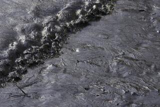 El petróleo de un vertido cubre la orilla en Ventanilla, Callao, Perú, el 17 de enero de 2022. Olas inusualmente grandes que las autoridades atribuyen a la erupción de un volcán submarino en Tonga causaron el vertido en la costa peruana en el Pacífico cuando un barco estaba cargando petróleo en la refinería de La Pampilla el 16 de enero. (AP Foto/Martín Mejía)