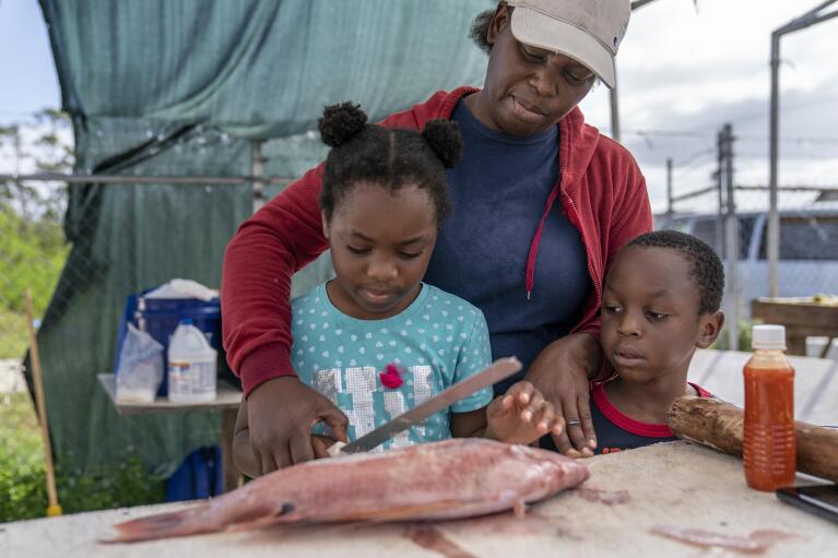 Fifth generation conch fisherman, Tereha Davis, teaches her granddaughter, Ivory, 8, how to cut a fish as her grandson, Ira, 6, looks on at a fish market in Freeport, Grand Bahama Island, Bahamas, Sunday, Dec. 4, 2022. While many fishermen acknowledge that there are less conch than there used to be, there is also much opposition to the possibility of new restrictions on the fishery. Even the possibility of a closed season draws ire. "I don't want to see putting a season on the conch, or banning it," Davis said. "The government are putting more emphasis on coming down on us. But there's not so much focus on poachers." (AP Photo/David Goldman)