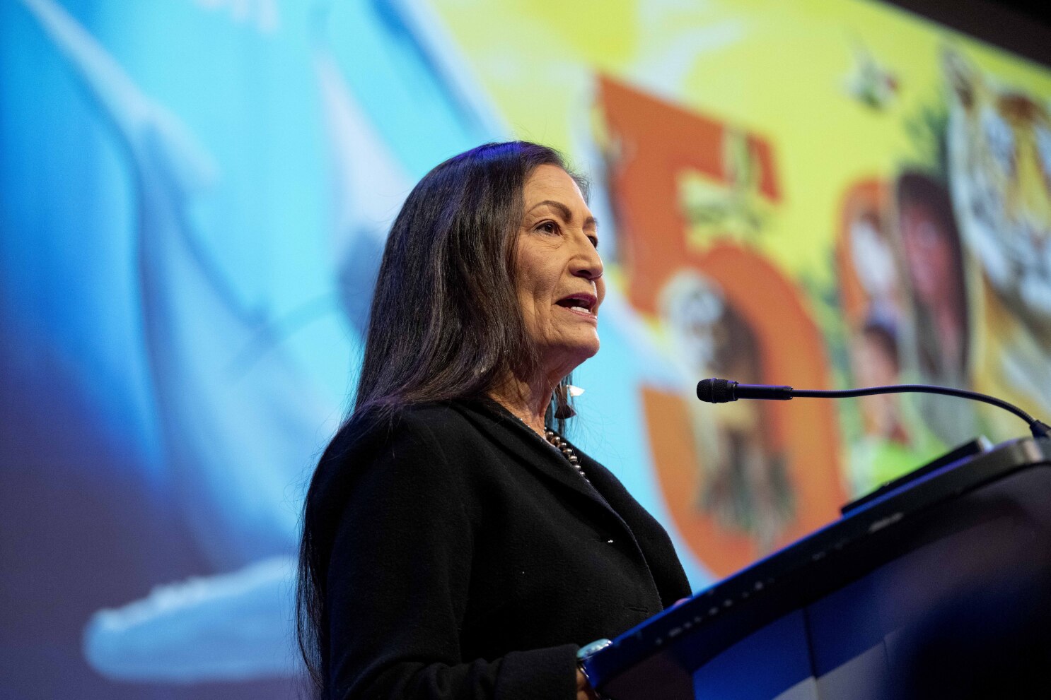 US Interior Secretary Deb Haaland reflects on tough choices during a historic tenure