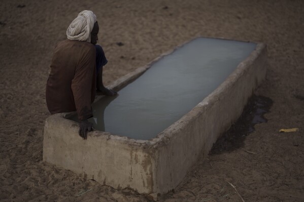 Oumar Abdoulaye Sow, 43, sits at a water trough after giving water to his cows in the village of Fete Forrou, in the Matam region of Senegal, Tuesday, April. 11, 2023. (AP Photo/Leo Correa)