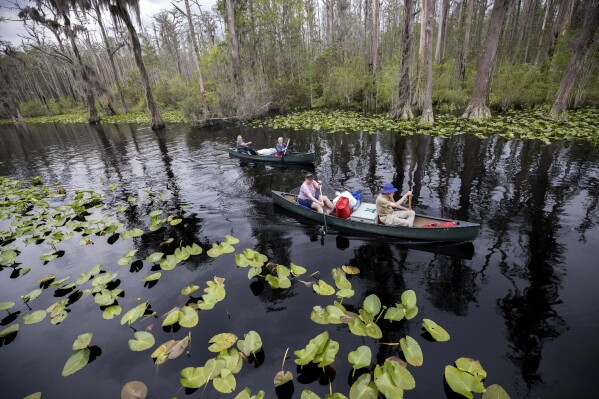FILE - A group of visitors return to Stephen C. Foster State Park after an overnight camping trip on the Red Trail in the Okefenokee National Wildlife Refuge, April 6, 2022, in Fargo, Ga. Twin Pines Minerals, the company seeking permits to mine minerals near the edge of the Okefenokee Swamp and its vast wildlife refuge, agreed Tuesday, Jan. 23, 2024, to pay a $20,000 fine to Georgia environmental regulators, who say the company violated state laws while collecting soil samples for its permit application. (AP Photo/Stephen B. Morton, File)