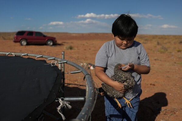 Liam Gillis, 7, holds one of his chickens, Wednesday, Oct. 9, 2024, at his home on the Navajo Nation in Halchita, Utah. (AP Photo/Joshua A. Bickel)