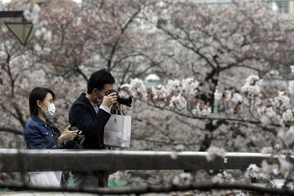 Masked people stop on a bridge to photograph cherry blossoms Friday, March 27, 2020, in Tokyo. The new coronavirus causes mild or moderate symptoms for most people, but for some, especially older adults and people with existing health problems, it can cause more severe illness or death. (AP Photo/Kiichiro Sato)