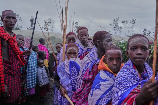 Maasai children line up during the Enkipaata ceremony, a Maasai male rite of passage, specifically the initiation of boys, marking the transition from childhood to becoming a moran (warrior) in Olaimutiai, Narok County, Kenya Wednesday, April 23, 2024. (AP Photo/Brian Inganga)