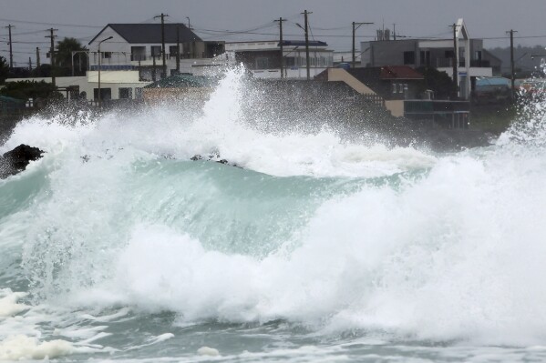 High waves crash a shore as the tropical storm named Khanun approaches to the Korean Peninsular, on Jeju Island, South Korea, Wednesday, Aug. 9, 2023. Dozens of flights and ferry services were grounded in South Korea on Wednesday ahead of the tropical storm that has dumped heavy rain on Japan's southwestern islands for more than a week. (Park Ji-ho/Yonhap via AP)