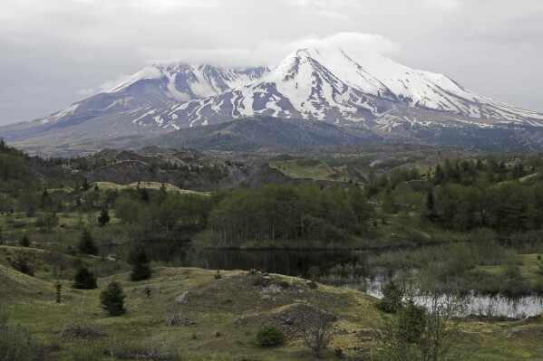 FILE - Mount St. Helens is seen from the Hummocks Trail, on May 18, 2020, in Washington state. More than 400 earthquakes have been detected beneath Washington's Mount St. Helens in recent months though there are no signs of an imminent eruption, according to the U.S. Geological Survey. Most of the quakes over a three-month span beginning in mid-July 2023 were less than magnitude 1.0 and too small to be felt at the surface, the agency reported last week. (AP Photo/Ted S. Warren, File)