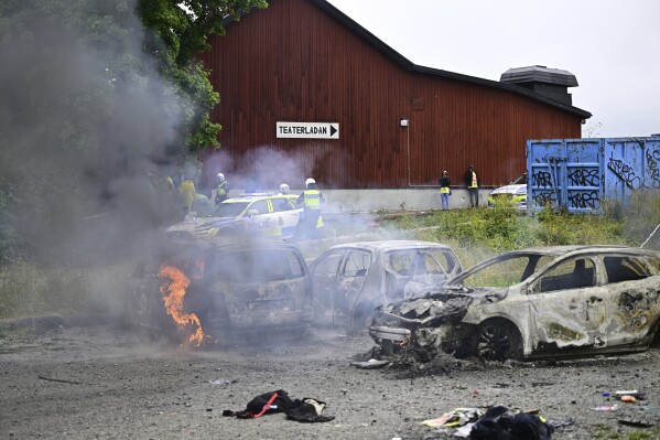 Police stand near the gutted remains of cars, at the Eritrean cultural festival 