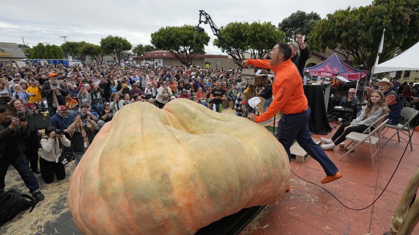 A legnagyobb sütőtök világrekordja: 2749 kilós sütőtök nyeri a kaliforniai versenyt