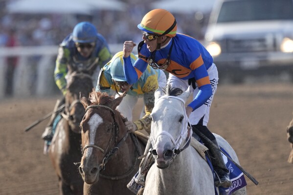 Irad Ortiz Jr. rides White Abarrio to win the Breeders' Cup Classic horse race Saturday, Nov. 4, 2023, at Santa Anita Park in Arcadia, Calif. (AP Photo/Mark J. Terrill)