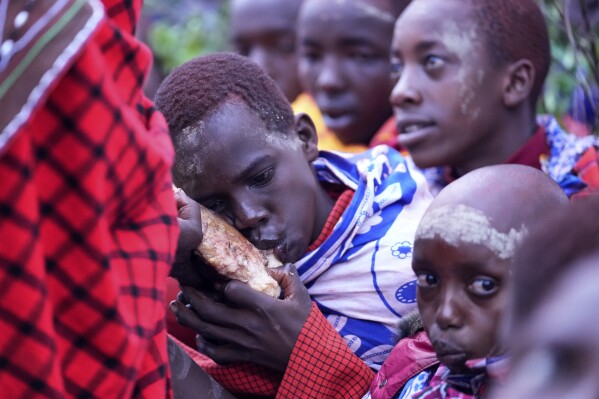 Children of the Maasai tribe are fed meat, during the Enkipaata ceremony, a Maasai male rite of passage, specifically the initiation of boys, marking the transition from childhood to becoming a moran (warrior) in Olaimutiai, Narok County, Kenya Wednesday, April 23, 2024. (AP Photo/Brian Inganga)