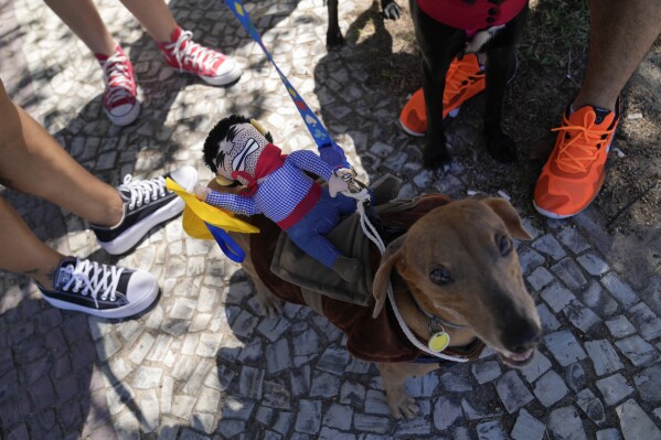 Pet owners stand around a dog with a doll attached to its back, during the "Blocao" dog Carnival parade in Rio de Janeiro, Brazil, Saturday, Feb. 10, 2024. (AP Photo/Silvia Izquierdo)