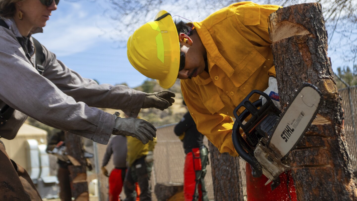 Горските пожари в САЩ стават все по-големи и по-сложни, предизвиквайки промени в противопожарната работна сила