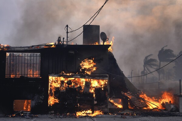 The Palisades Fire ravages a neighborhood amid high winds in the Pacific Palisades neighborhood of Los Angeles, Wednesday, Jan. 8, 2025. (AP Photo/Damian Dovarganes)