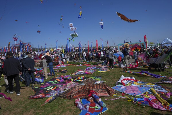 Kites lie on the ground during the 41st International Kite Festival in Weifang, Shandong Province of China, Saturday, April 20, 2024. (AP Photo/Tatan Syuflana)