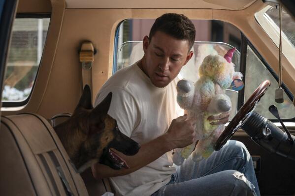 This image released by MGM shows Channing Tatum in a scene from "Dog." (Hilary Bronwyn Gayle/Metro-Goldwyn-Mayer Pictures via AP)