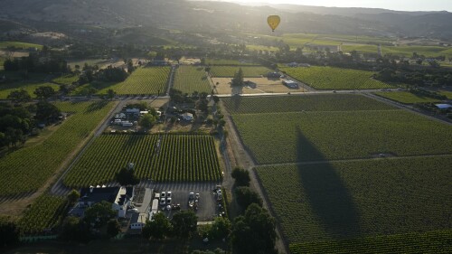 A hot air balloon floats over vineyards, seen from a Napa Valley Aloft balloon, in Napa, Calif., Monday, June 19, 2023. This year, wine grapes are thriving after a winter of record amounts of rain fell in California, but a recent trip high above the valley in a hot air balloon revealed miles of lush, green vineyards — the only blemish coming from shadows cast by the balloons themselves. (AP Photo/Eric Risberg)