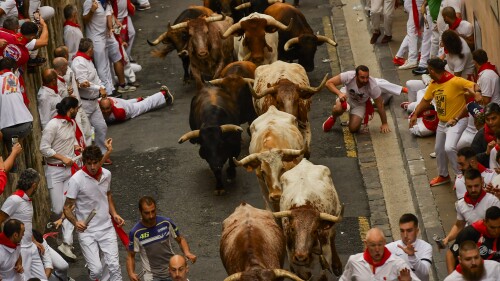 La Palmosilla's fighting bulls run among revellers during the first day of the running of the bulls during the San Fermin fiestas in Pamplona, Spain, Friday, July 7, 2023. (AP Photo/Alvaro Barrientos)