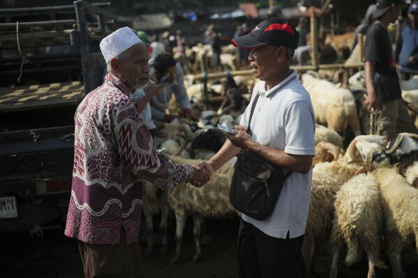 A trader, right, shakes a buyer hands after selling his sheep ahead of Eid al-Adha festival at a livestock market in Jonggol, West Java, Indonesia, Monday, June 2, 2025. (AP Photo/Achmad Ibrahim)