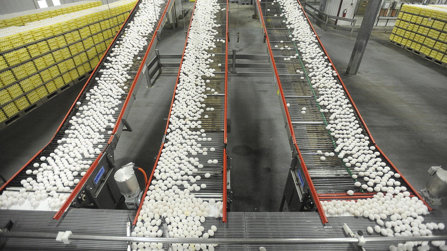 Egg prices could jump another 41% this year, USDA says, as Trump's bird flu plan unveiled