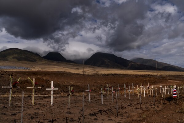 FILE - Crosses honoring victims killed in a recent wildfire are posted along the Lahaina Bypass in Lahaina, Hawaii, Aug. 21, 2023. Nearly a month after the deadliest U.S. wildfire in more than a century killed scores of people, authorities on Maui are working their way through a list of the missing that has grown almost as quickly as names have been removed. Lawsuits are piling up in court over liability for the inferno, and businesses across the island are fretting about what the loss of tourism will mean for their futures. (AP Photo/Jae C. Hong, File)