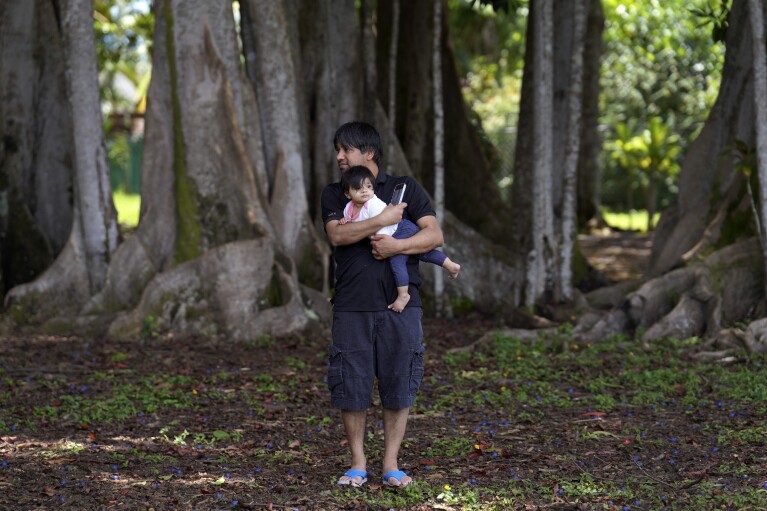 Visitors stand at the edge of the Rudraksha forest at the Kauai Hindu Monastery on July 9, 2023, in Kapaa, Hawaii. Guests are allowed to take the sacred, bright blue, Rudraksha fruit that have fallen around the base of the trees. (AP Photo/Jessie Wardarski)