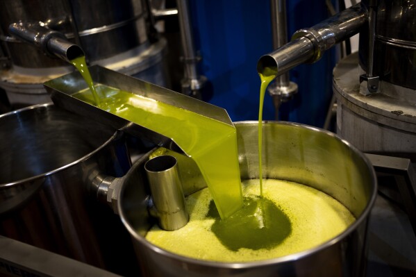 FILE - A tank is filled with olive oil at the "La Betica Aceitera" oil mill in the southern town of Quesada, a rural community in the heartland of Spain's olive country, Thursday, Oct. 27, 2022. Olive oil has increased by some 75 % since January 2021, dwarfing overall annual inflation that has already been considered unusually high over the past few years and even stood at 11.5 % in October last year. (AP Photo/Bernat Armangue, File)