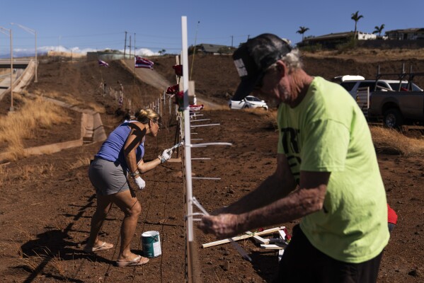 Shawneen Schweitzer, left, paints crosses hanging on a fence to honor the victims killed in a recent wildfire in Lahaina, Hawaii, Aug. 22, 2023. (AP Photo/Jae C. Hong)
