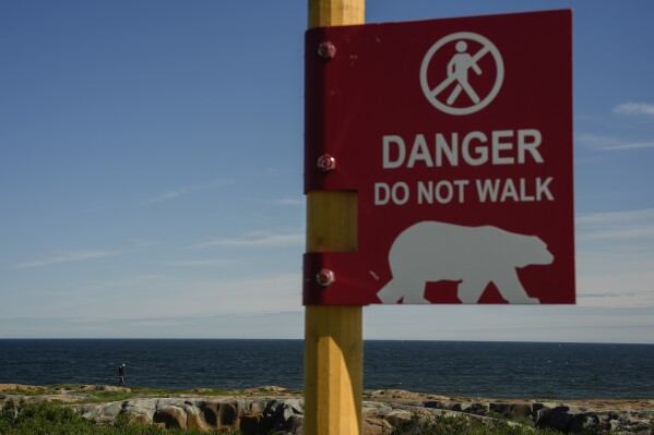 A person walks along the rocks near Hudson Bay while watching for polar bears, Saturday, Aug. 3, 2024, in Churchill, Manitoba. (AP Photo/Joshua A. Bickel)