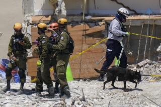 FILE - In this July 2, 2021, file photo, a dog aiding in the search walks past a team of Israeli search and rescue personnel, left, atop the rubble at the Champlain Towers South condominium in Surfside, Fla. While hundreds of rescuers search desperately for survivors within the rubble of the collapsed condominium, a smaller cadre of mental health counselors are also deploying to help families and other loved ones cope with the tragedy. (AP Photo/Mark Humphrey, File)