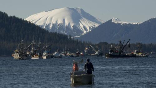 Boats jockey for position minutes before the opening of the Sitka Sound sac roe herring fishery on March 23, 2014, in Sitka, Alaska. Sitka is the home port for a charter fishing boat that sank in nearby waters killing three and leaving two lost at sea in late May 2023. The tragedy has put a spotlight on the safety of southeast Alaska's vibrant charter fishing industry and on the port town of Sitka, where charter operators charge thousands of dollars per person for guided fishing trips. (James Poulson/The Daily Sitka Sentinel via AP, File)