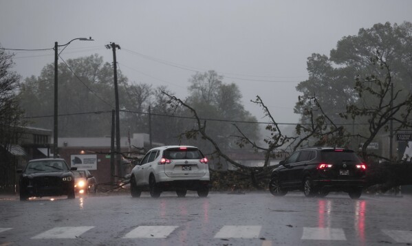 Vehicles go around a downed tree on Cooper Street as heavy rain falls, Saturday, April 5, 2025, in Memphis, Tenn. (Patrick Lantrip/Daily Memphian via AP)