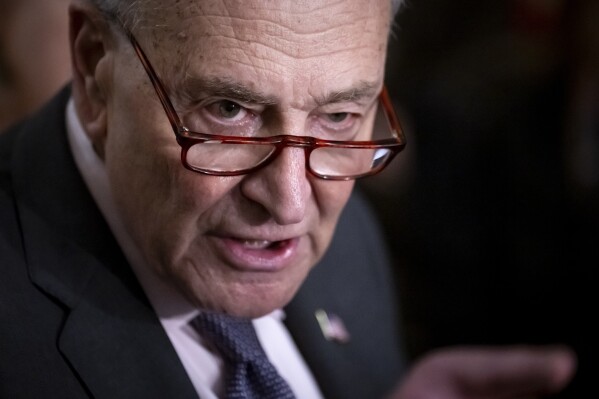 Sen. Chuck Schumer, D-N.Y., speaks to reporters after a Senate policy luncheon, at the Capitol in Washington, Tuesday, Feb. 25, 2025. (AP Photo/Ben Curtis)