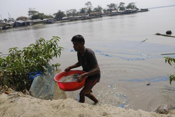Punur Daan, a fisherman, catches baby shrimp from Pasur River in Mongla, Bangladesh, March 4, 2022. Mongla is located near the world's largest mangrove forest Sundarbans. The town was once vulnerable to floods and river erosion, but now it has become more resilient with improved infrastructure against high tides and erosion. (AP Photo/Mahmud Hossain Opu)
