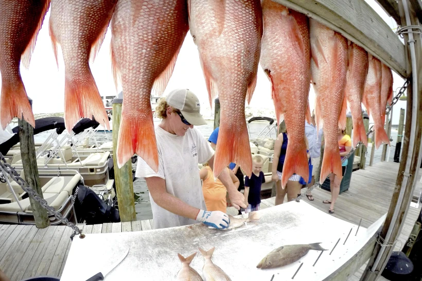 U.S. Says a Drug Cartel Is Behind the Longstanding Problem of Illegal Fishing in the Gulf of Mexico