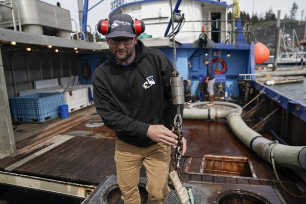 Kevin Abena, who runs a fishing business with his father, walks across the deck as he docks at Saint Herman Harbor, Sunday, June 25, 2023, in Kodiak, Alaska. They rely on tendering to stay afloat in the wake of the crab fishery closure. (AP Photo/Joshua A. Bickel)