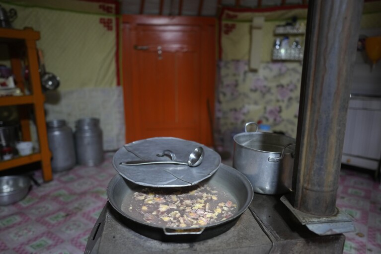 Raw meat is boiled for supper in the ger of herder Lkhaebum in the Munkh-Khaan region of the Sukhbaatar district in southeast Mongolia, Saturday, May 14, 2023. (AP Photo/Manish Swarup)