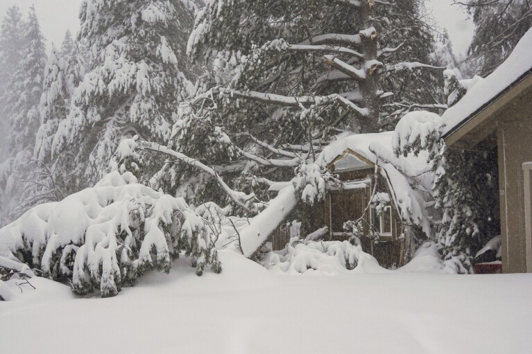 La nieve cubre una propiedad, el sábado 2 de marzo de 2024, en Truckee, California.  Una poderosa tormenta de nieve aulló el sábado en Sierra Nevada cuando la tormenta más grande de la temporada cerró un largo tramo de la Interestatal 80 en California y ráfagas de viento y fuertes lluvias azotaron elevaciones más bajas, dejando a decenas de miles de hogares sin electricidad.  (Foto AP/Brooke Hess-Homeier)