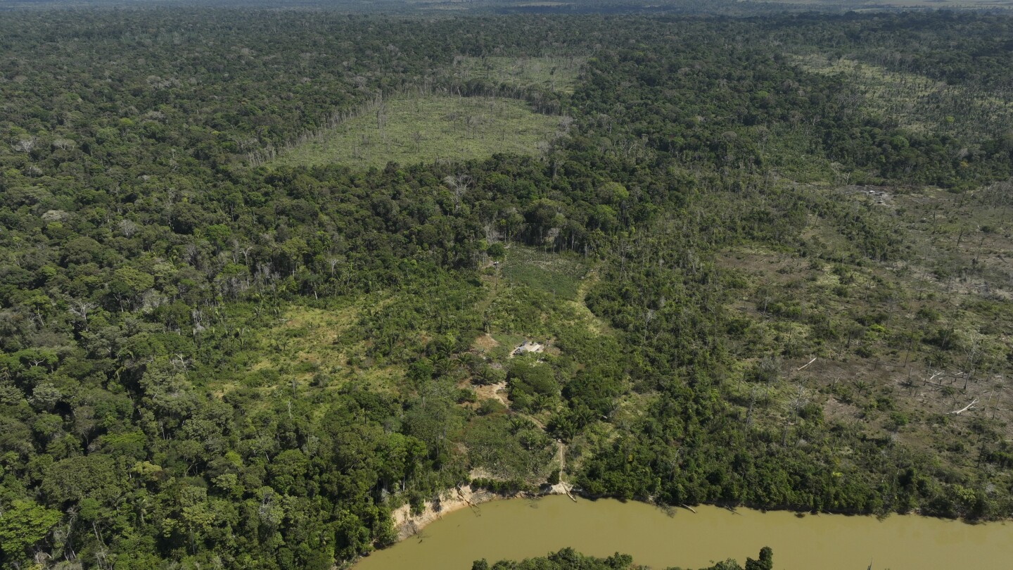 Изводи от съдебни дела, обвиняващи JBS, други, че са допринесли за обезлесяването на Амазонка