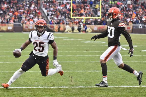 Cincinnati Bengals vs Cleveland Browns - January 09, 2022