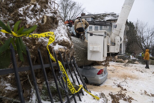 Chico Bunch, with the Oregon Department of Forestry, uses a chainsaw to cut a downed tree into smaller pieces after it fell on a car and a home on Saturday, Jan. 13, 2024, in Portland, Ore. (AP Photo/Jenny Kane)