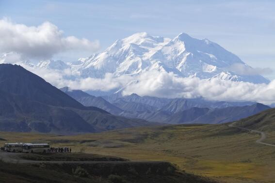 FILE - Sightseeing buses and tourists are seen at a pullout popular for taking in views of North America's tallest peak, Denali, in Denali National Park and Preserve, Alaska, on Aug. 26, 2016. A Utah doctor is accused of lying to get a high-elevation helicopter to rescue him off the tallest mountain in North America and then destroying evidence. Dr. Jason Lance, who is a radiologist in Ogden, Utah, faces three misdemeanors, interfering with and violating the order of a government employee and for filing a false report from his May 2021, attempt to summit Denali, located about 180 miles north of Anchorage. (AP Photo/Becky Bohrer, File)