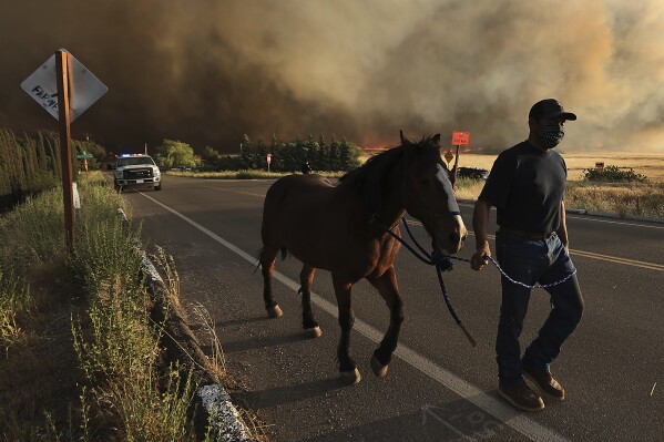 A resident of of Vernalis Road evacuates his horse as the Corral Fire bears down on ranches west of Tracy, Calif., Saturday, June 1, 2024. The California Department of Forestry and Fire Protection, or Cal Fire, says gusty winds were fueling the Corral Fire that began Saturday afternoon and continued early Sunday morning near the city of Tracy, 60 miles east of San Francisco. (Kent Porter/The Press Democrat via AP)