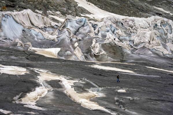 FILE - A team member of Swiss Federal Institute of Technology glaciologist and head of the Swiss measurement network 'Glamos', Matthias Huss, passes the Rhone Glacier covered by sheets near Goms, Switzerland, on June 16, 2023. A new scientific study suggests the world should start preparing to protect the ecosystems that emerge from under the disappearing ice as warming planet is inevitably causing glaciers to melt. (AP Photo/Matthias Schrader)