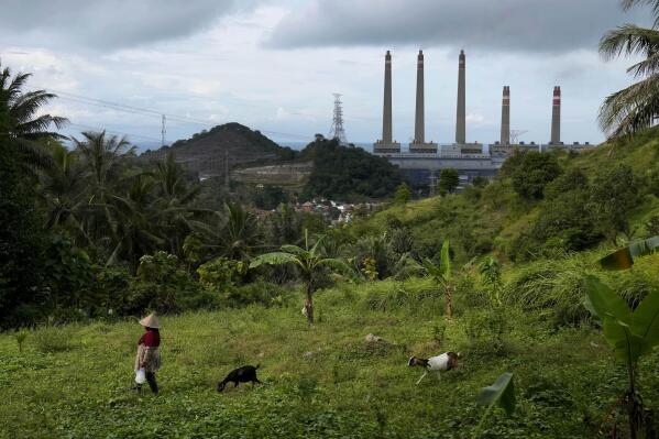 A woman leads her goats as Suralaya coal power plant looms in the background in Cilegon, Indonesia, Sunday, Jan. 8, 2023. Indonesia, one of the world's largest coal-producing countries, has agreed to drastically reduce its reliance on fossil fuels in the coming decades. (AP Photo/Dita Alangkara)