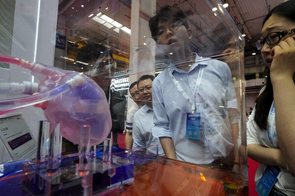 Visitors take a close look at an artificial heart during the annual World Robot Conference at the Etrong International Exhibition and Convention Center on the outskirts of Beijing, Thursday, Aug. 17, 2023. (AP Photo/Andy Wong)