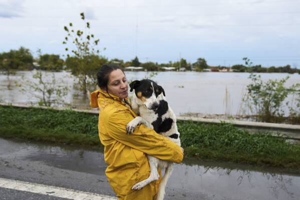 A woman carries a dog along a flooded highway after heavy rains in Campana, Argentina, Saturday, May 17, 2025. (AP Photo/Rodrigo Abd)