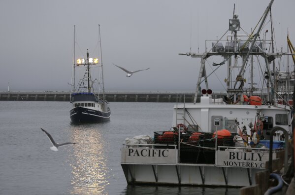 In this photo taken Monday, July 22, 2019, a boat with chinook salmon makes its way to Fisherman's Wharf to unload its catch in San Francisco. California fishermen are reporting one of the best salmon fishing seasons in more than a decade, thanks to heavy rain and snow that ended the state's historic drought. It's a sharp reversal for chinook salmon, also known as king salmon, an iconic fish that helps sustain many Pacific Coast fishing communities.(AP Photo/Eric Risberg)