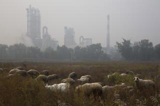 FILE - Sheep graze on a grass land near a cement plant on the outskirts of Beijing, China, Oct. 17, 2015. New global data released in May 2022, shows that emissions of heat-trapping gases coming from making cement have doubled in the last 20 years. It's all being driven by China, which is responsible for more than half of the globe's cement carbon emissions. (AP Photo/Ng Han Guan, File)